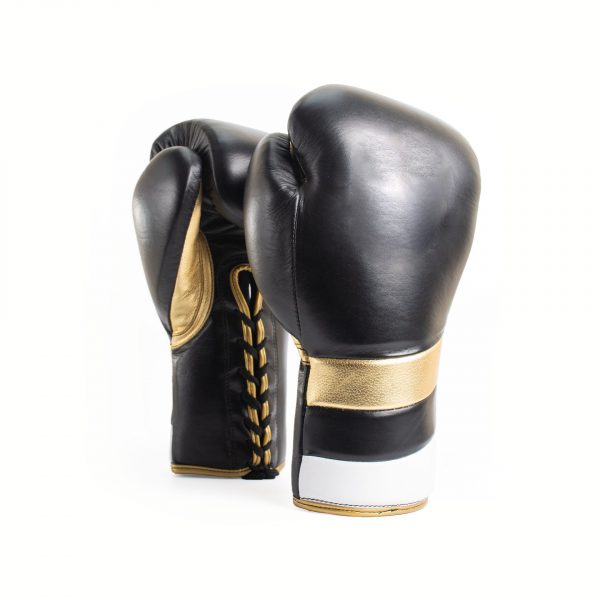 Professional Boxing Gloves - Microtech Sports